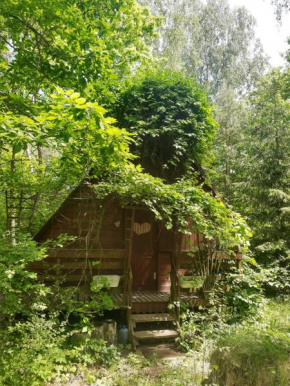 Domek w lesie, Aleksandrów